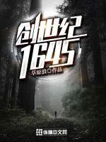 《创世纪1645》小说封面