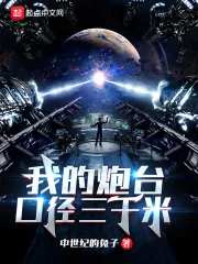 《我的炮台口径三千米》小说封面