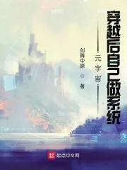 《元宇宙:穿越后自己做系统》小说封面