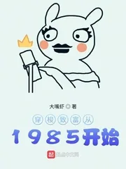 《穿梭致富从1985开始》小说封面