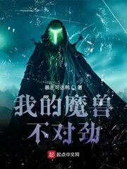 《我的魔兽不对劲》小说封面