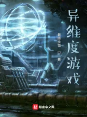 《异维度游戏》小说封面