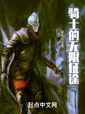 《骑士的无限征途》小说封面