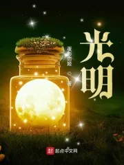 《光明！》小说封面