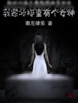 《我家冰柜里有个女神》小说封面