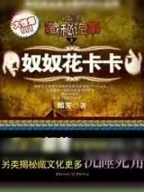 《藏秘诡事：奴奴花卡卡》小说封面