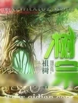 《树宗》小说封面
