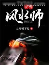 《乡野风水师》小说封面