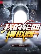 《我的轮回模拟器》小说封面