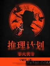 《推理计划：罪火焚身》小说封面