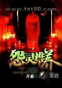 《怨灵难养》小说封面