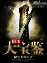 《阴阳大宝鉴》小说封面