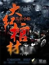 《大红棺材铺》小说封面