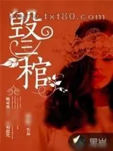 《毁三棺》小说封面
