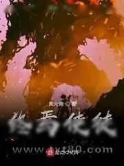 《终焉使徒》小说封面