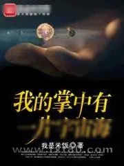 《我的掌中有一片宇宙海》小说封面