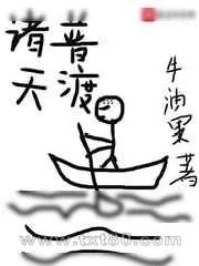 《金像功》小说封面