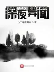 《深夜异闻》小说封面