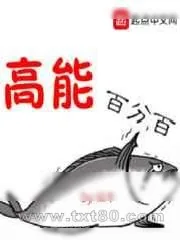 《高能百分百》小说封面