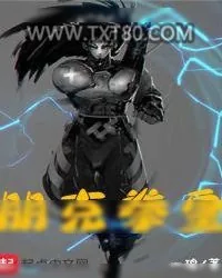 《朋克拳皇》小说封面