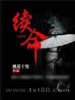 《续命》小说封面