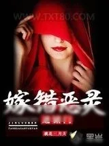 《嫁错恶灵进错门》小说封面