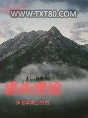 《追凶迷途》小说封面