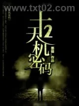 《十二天机密码》小说封面