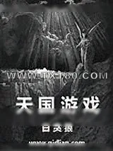 《天国游戏》小说封面