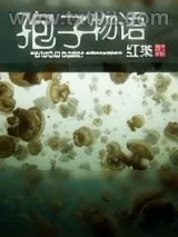 《孢子物语》小说封面
