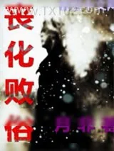 《丧化败俗》小说封面