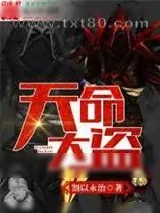 《天命大盗》小说封面