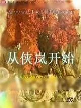 《侠岚》小说封面