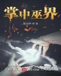 《掌中巫界》小说封面
