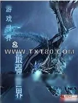 《游戏世界之最强世界》小说封面