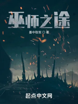 《巫师之途》小说封面