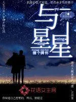 《与星星撞个满怀》小说封面
