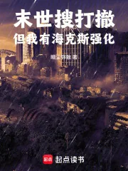 《末世搜打撤，但我有海克斯强化》小说封面
