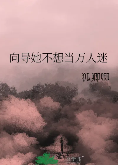 《向导她不想当万人迷》小说封面