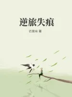 《逆旅失痕》小说封面
