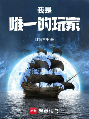 《我是唯一的玩家》小说封面
