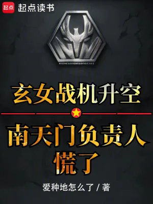 《玄女战机升空?南天门负责人慌了》小说封面