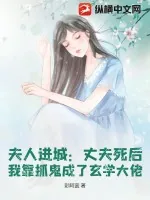 《夫人进城:丈夫死后,我靠抓鬼成了玄学大佬》小说封面