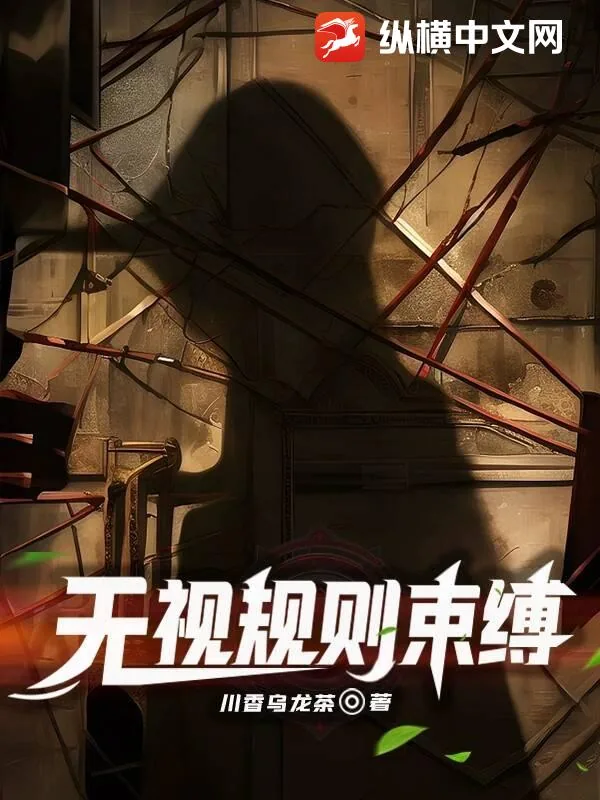 《无视规则束缚》小说封面