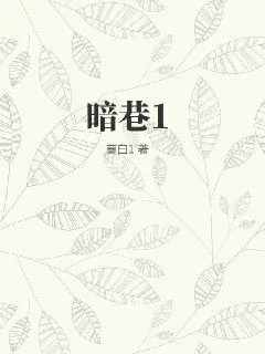 《暗巷1》小说封面