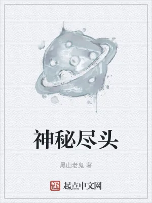 《神秘尽头》小说封面