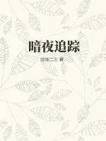 《暗夜追踪》小说封面