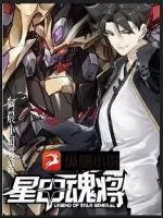 《星甲魂将》小说封面