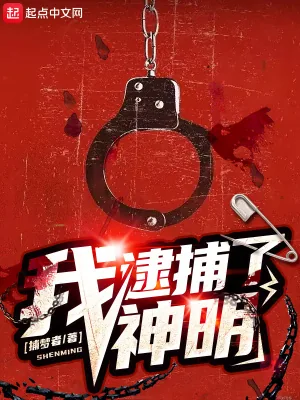 《我逮捕了神明》小说封面
