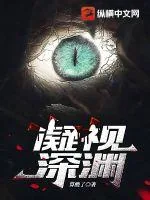 《凝视深渊》小说封面